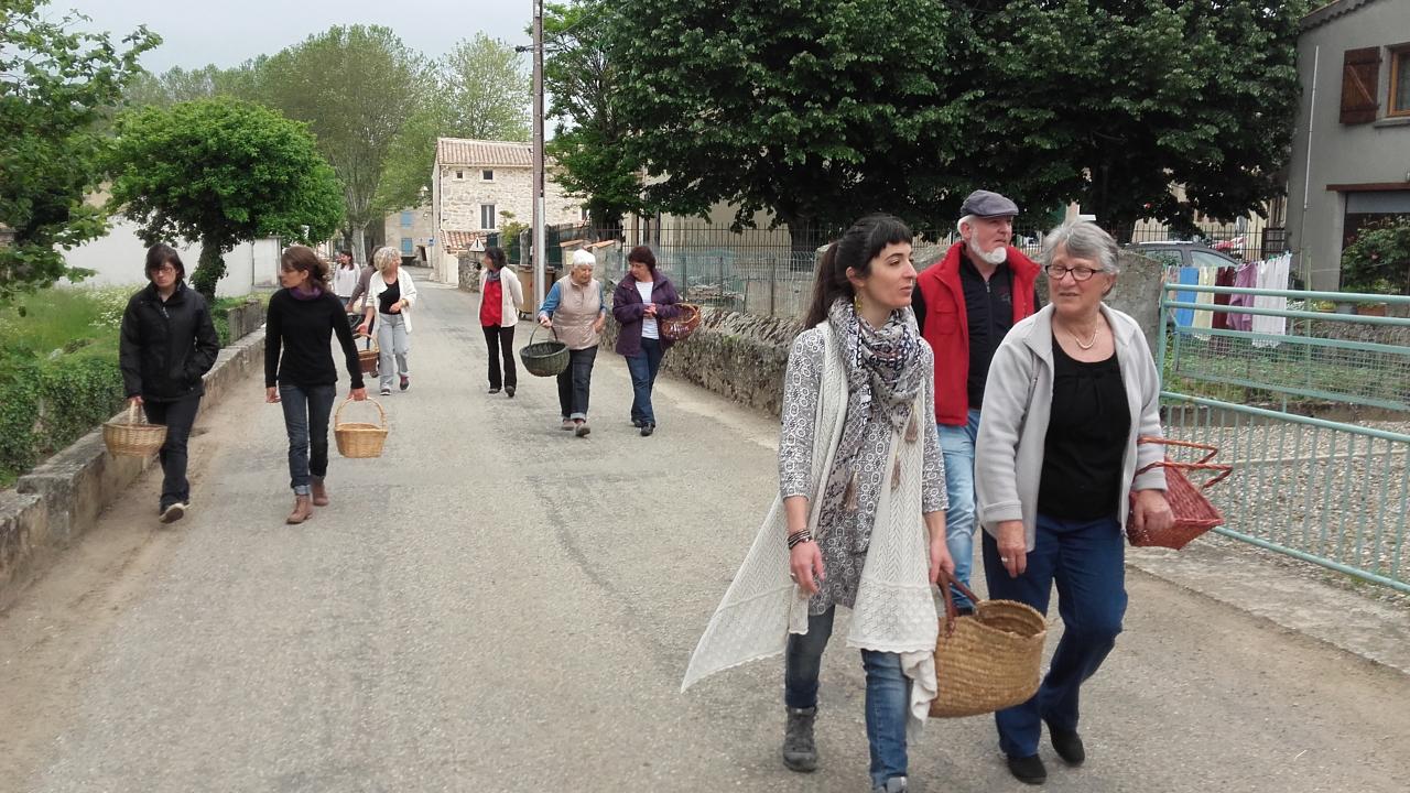 Concours de fleurs 2016