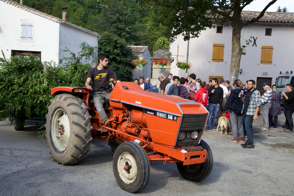 Le jour des buis