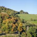 Automne